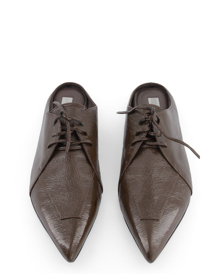 sharpnose flats in brown color