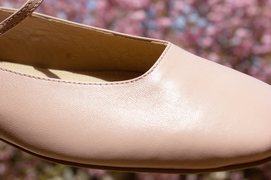 Ballet Shoes | AnnK
