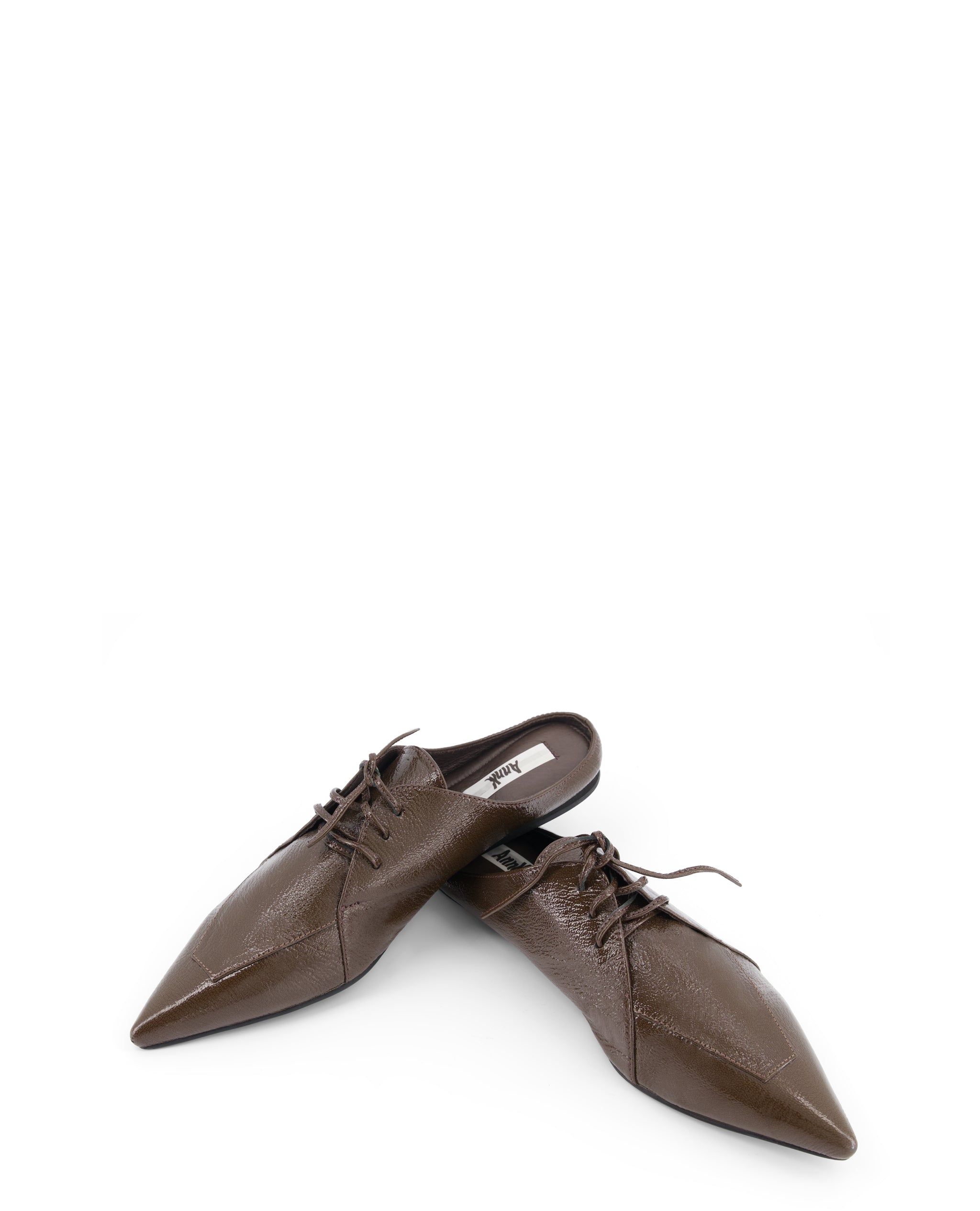 brown sharpnose flats by annk