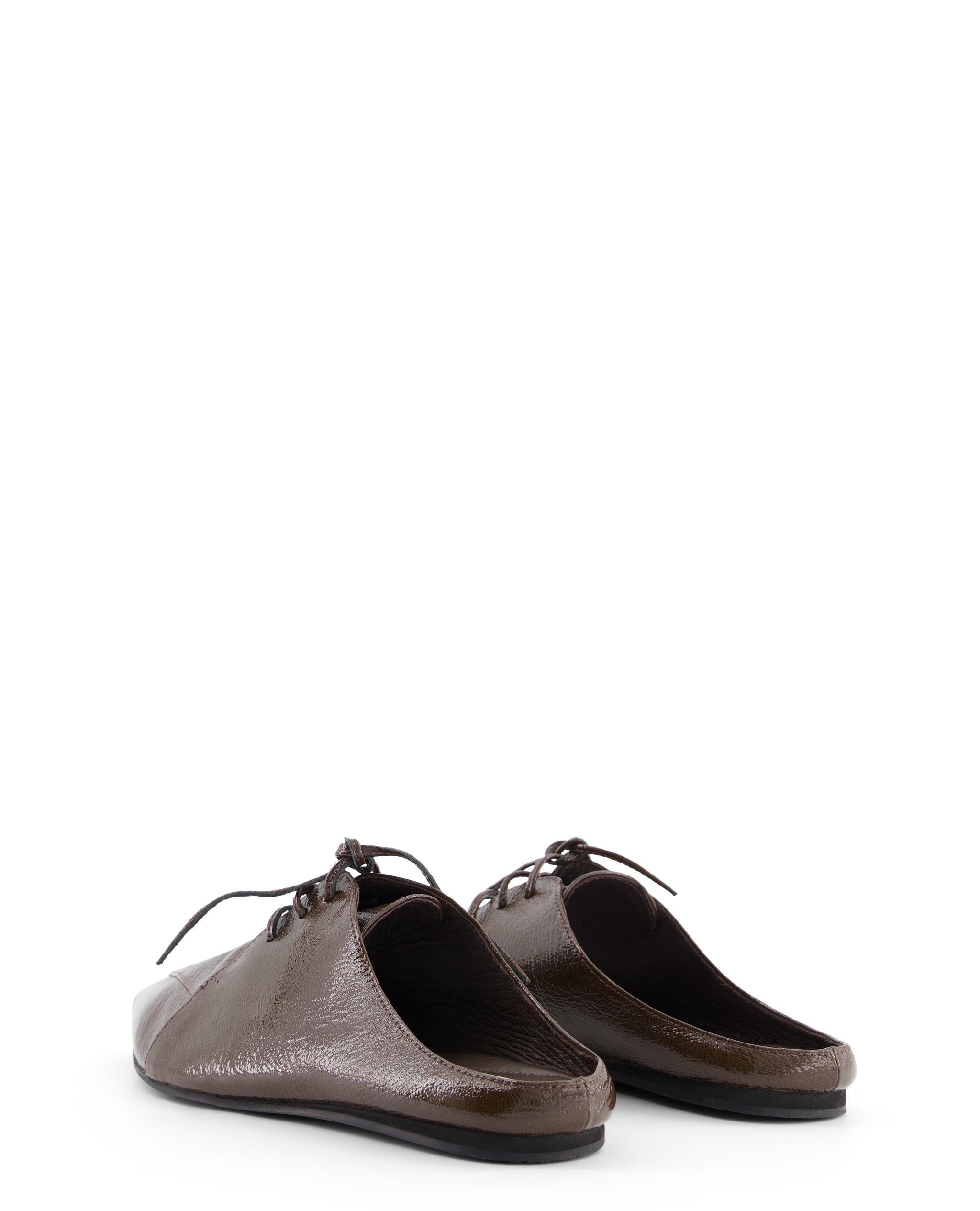 brown sharpnose flats 