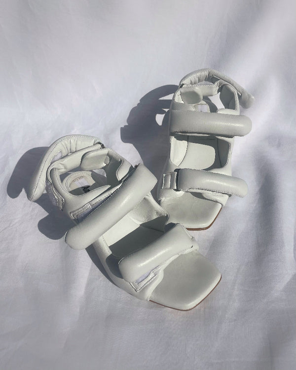 White Fou AnnK /aenk:ei/ 
